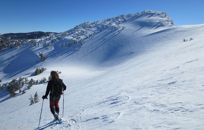 Pico de Tarbésou (2.364m) desde Mijanes 1 