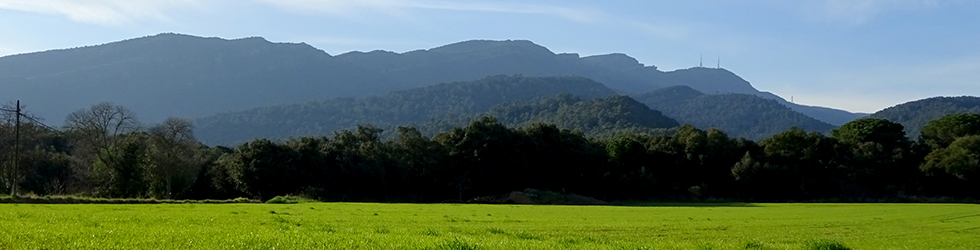 El volcán del Puig d´Adri