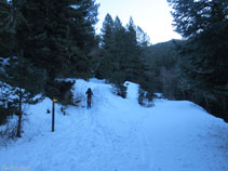 Dejamos la pista y tomamos un sendero señalizado a nuestra izquierda