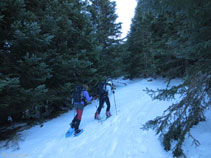 Subiendo por el bosque denso