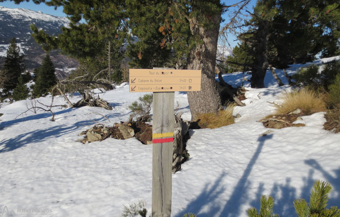 Roc de Madres (2.469m) desde Odelló 1 