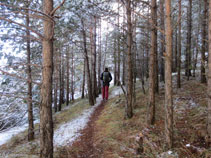 Sendero hacia el Planellot