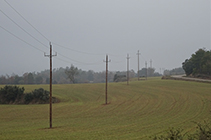 Campos de cereales en el camino de Sant Tirs.