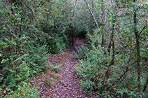 Sendero hacia la cueva del Marrà.