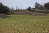 Bancales y muros de piedra seca.