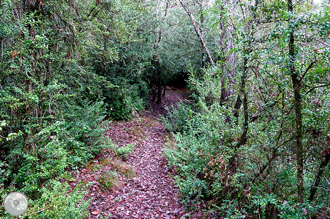 Ruta de las Mentiras en Pinell de Solsonès 1 