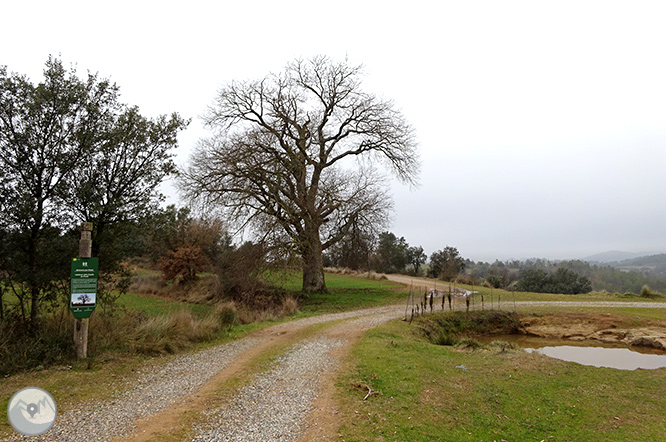 Ruta de las Mentiras en Pinell de Solsonès 1 