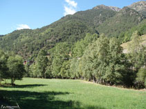 Verdes prados con árboles al lado del río.