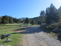 Llegamos al área de pícnic de Els Orris.