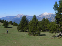 Prado alpino con el Pedraforca (2.497m) al fondo.