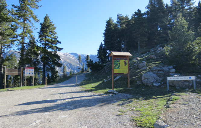 Ruta del Trencapinyes y mirador de Els Orris 1 