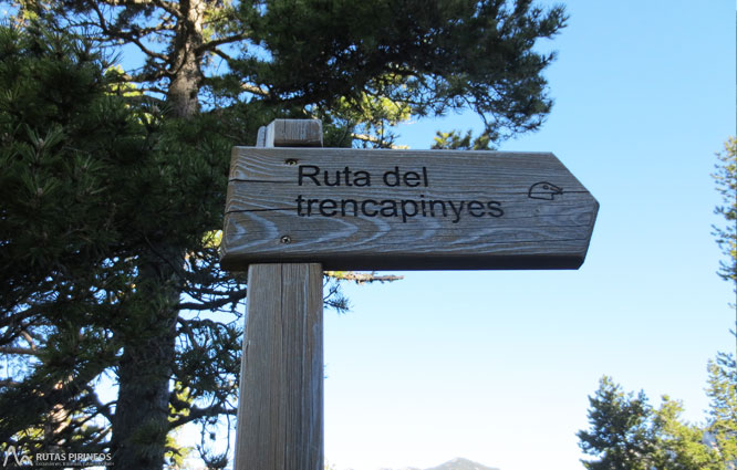 Ruta del Trencapinyes y mirador de Els Orris 1 