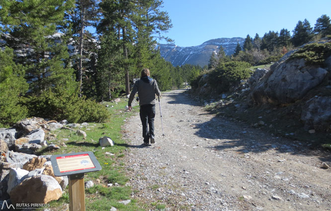 Ruta del Trencapinyes y mirador de Els Orris 1 