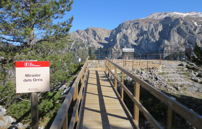 Ruta del Trencapinyes y mirador de Els Orris 1 