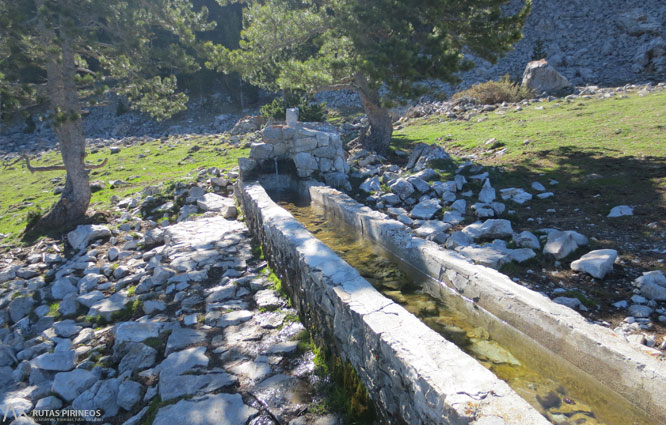 Ruta del Trencapinyes y mirador de Els Orris 1 