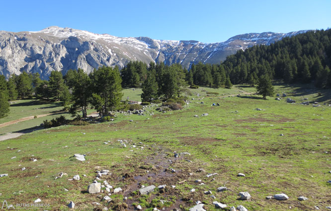 Ruta del Trencapinyes y mirador de Els Orris 1 