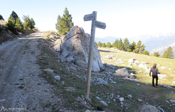 Ruta del Trencapinyes y mirador de Els Orris 1 