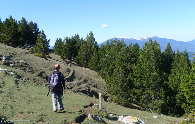 Ruta del Trencapinyes y mirador de Els Orris 1 