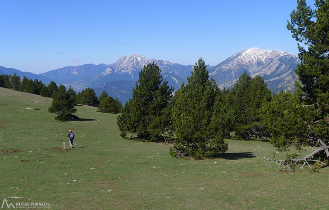 Ruta del Trencapinyes y mirador de Els Orris 1 