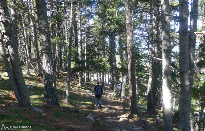 Ruta del Trencapinyes y mirador de Els Orris 1 