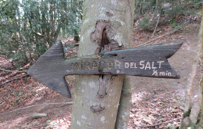 Salto de Sallent desde el Pla d