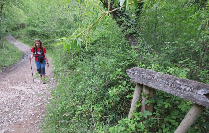 Salto de Sallent desde el Pla d