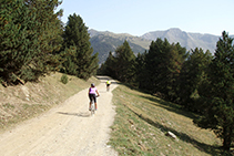 Camino de la vertiente soleada hacia Montgarri.