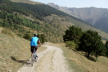 Camino al santuario de Montgarri.