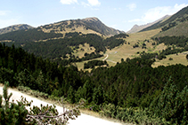 Vista hacia la vertiente solana desde la pista.