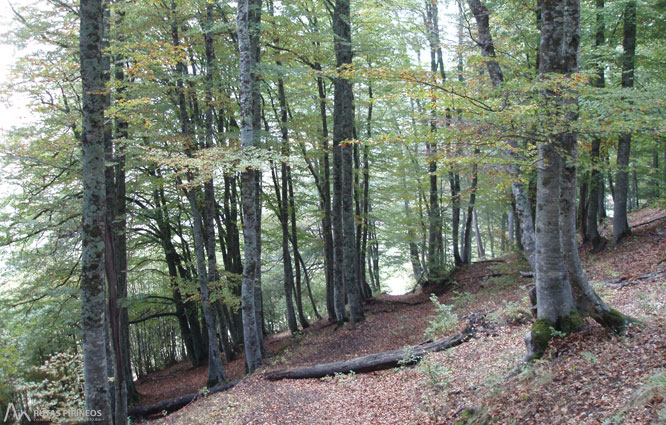 Saut deth Pish en el valle de Varradós 1 