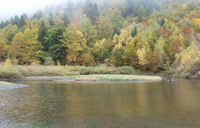 Saut deth Pish en el valle de Varradós 1 