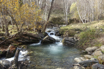 El frescal río de Sant Antoni.