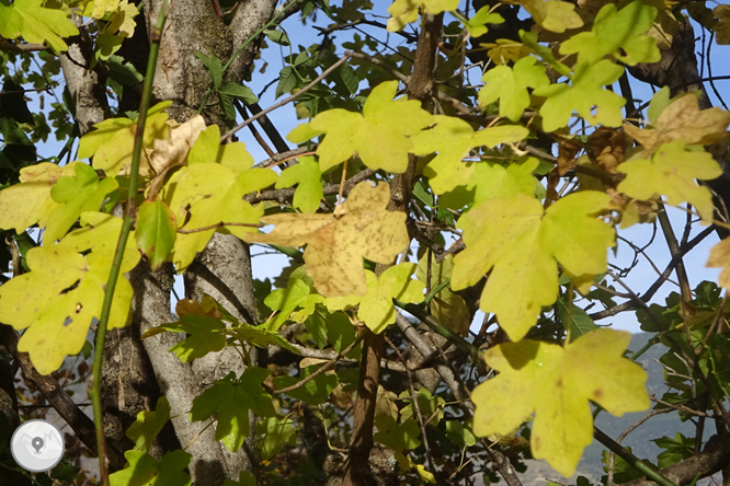 Noguera Pallaresa y Valle de Àssua desde Sort 1 