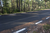 Marca de pintura amarilla en un pino al otro lado de la carretera.