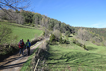 A punto de adentrarnos en un bosque.