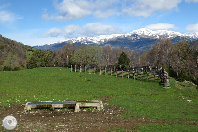 Taga (2.040m) desde Pardines 1 