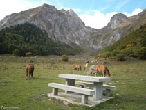 Paisaje idílico en la Artiga de Lin.