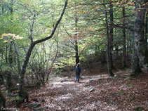 Volviendo de la cascada de Pomèro.