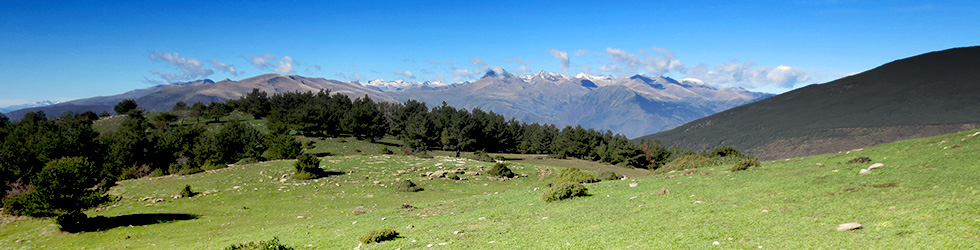 Vuelta a la sierra de Freixa desde Llagunes