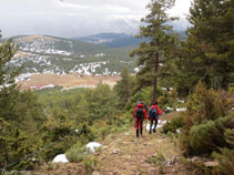 Entre el bosque podemos ver nuestros coches al fondo.