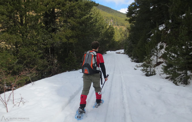 Vuelta al refugio de Comes de Rubió 1 