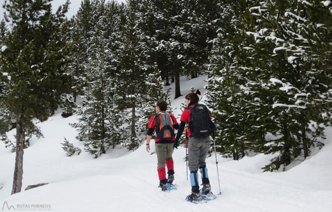 Vuelta al refugio de Comes de Rubió 1 