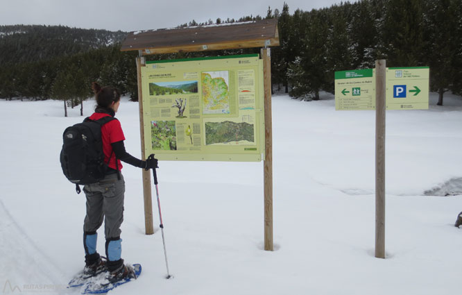 Vuelta al refugio de Comes de Rubió 1 