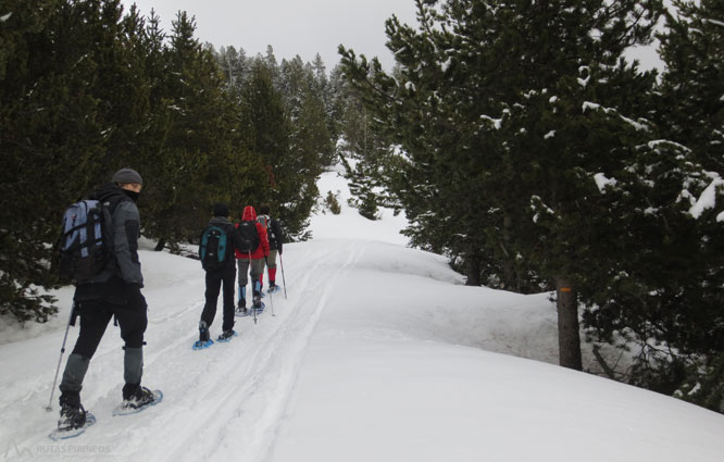 Vuelta al refugio de Comes de Rubió 1 