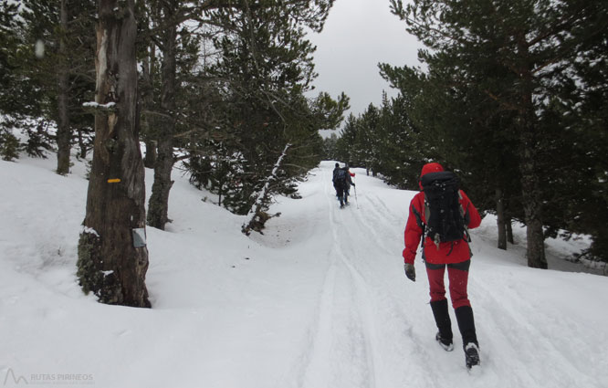 Vuelta al refugio de Comes de Rubió 1 