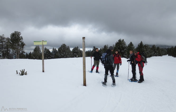 Vuelta al refugio de Comes de Rubió 1 