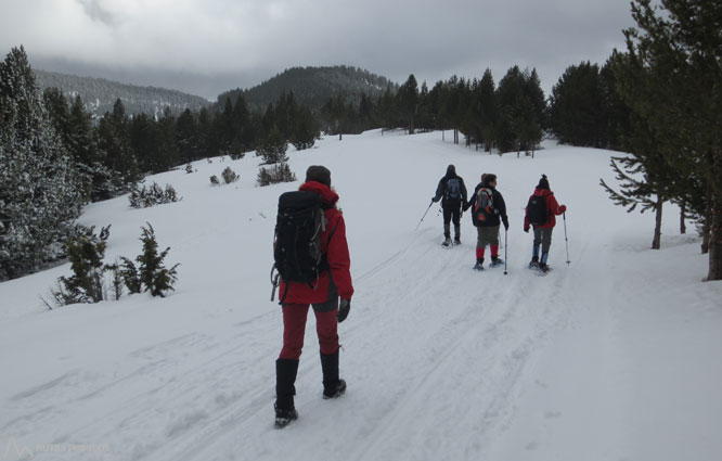 Vuelta al refugio de Comes de Rubió 1 