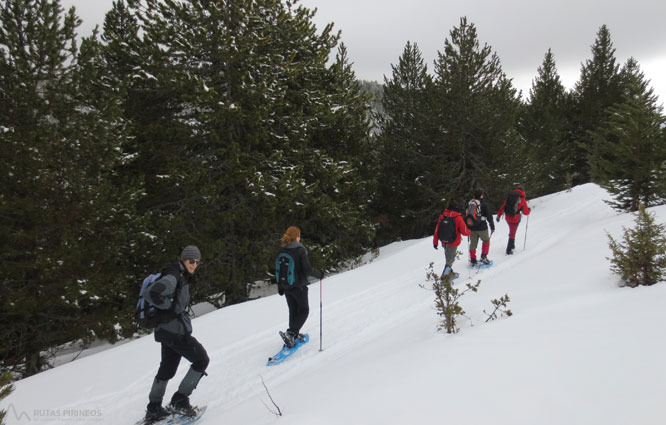 Vuelta al refugio de Comes de Rubió 1 