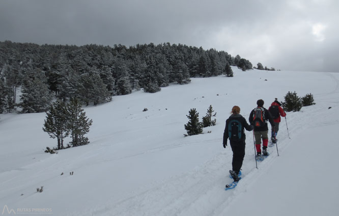 Vuelta al refugio de Comes de Rubió 1 