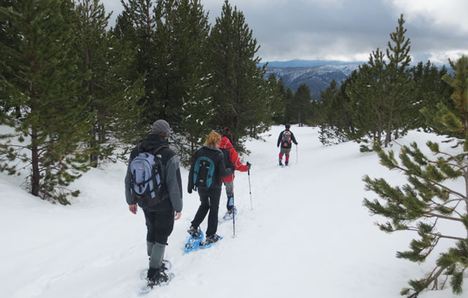 Vuelta al refugio de Comes de Rubió 1 